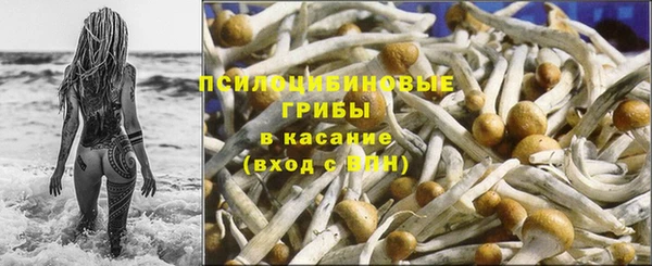 мет Абаза