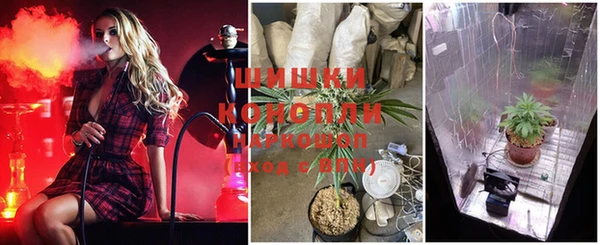 ешки Абинск